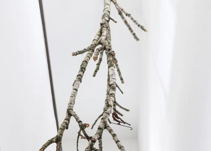 Diemelblick 13 - Seeside ヘリングハウゼン